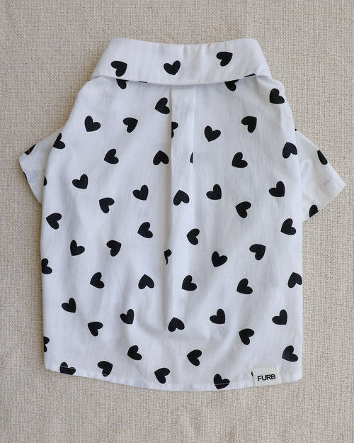 Puppy Love Heart Print Dog Shirt for corgis
