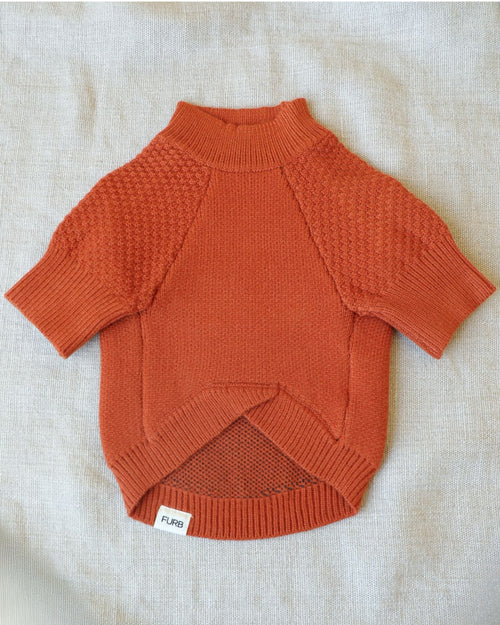 Pupkin Patch Dog Sweater