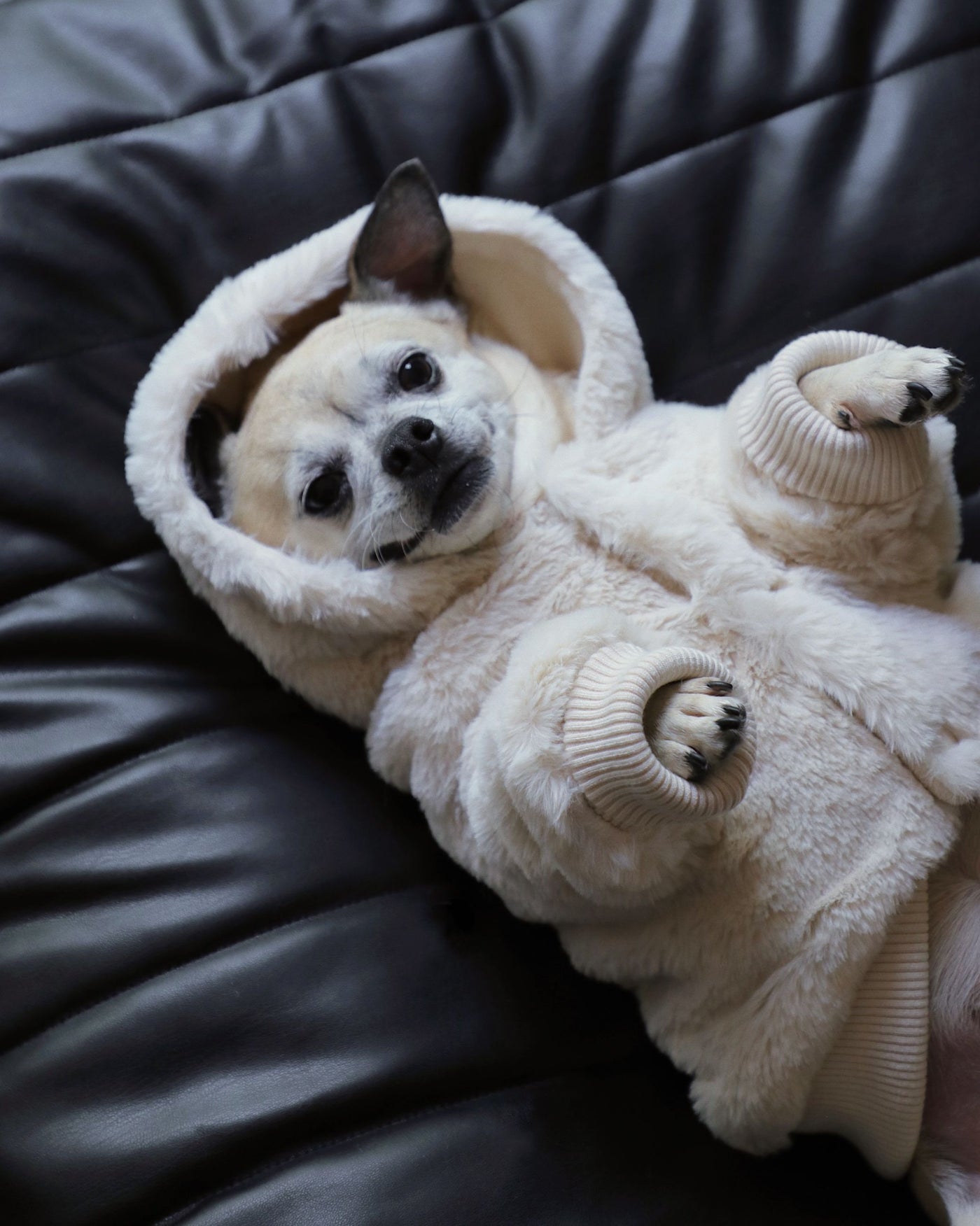 Vegan fur dog bed top