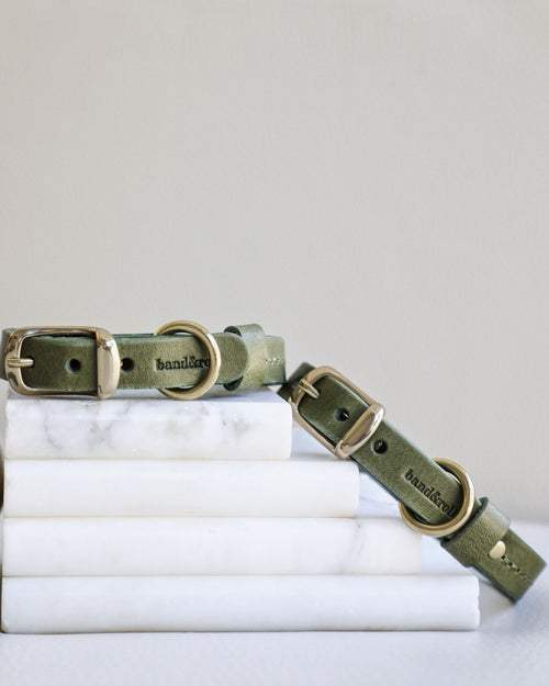 Two green leather collars sitting atop marble bookend.