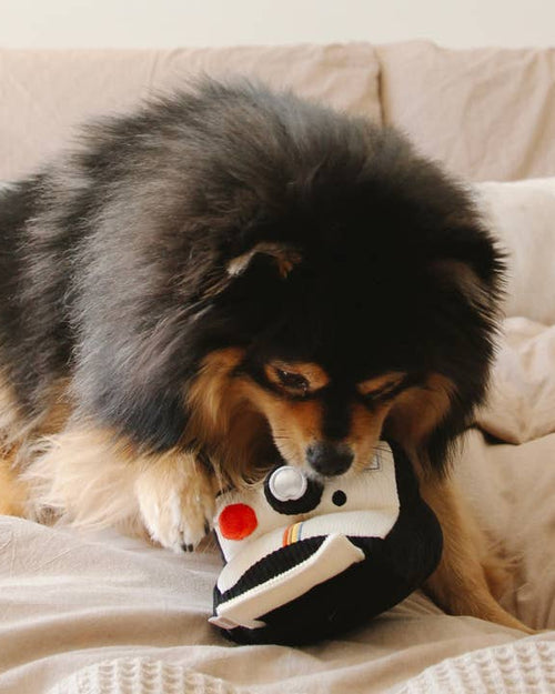 Polaroid Camera Dog Toy - Retro camera squeaky toy for dogs who love a good chew!