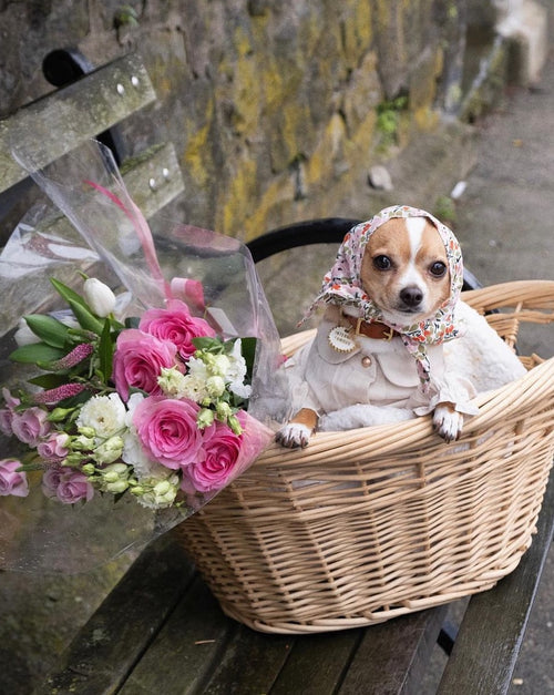 white and multi floral dog bandana and tasteful furb logo