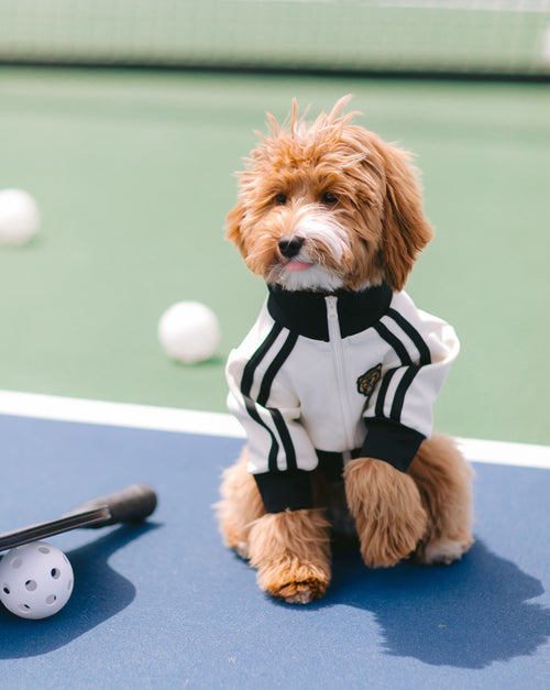 Team Captain Ivory + Black Track Jacket