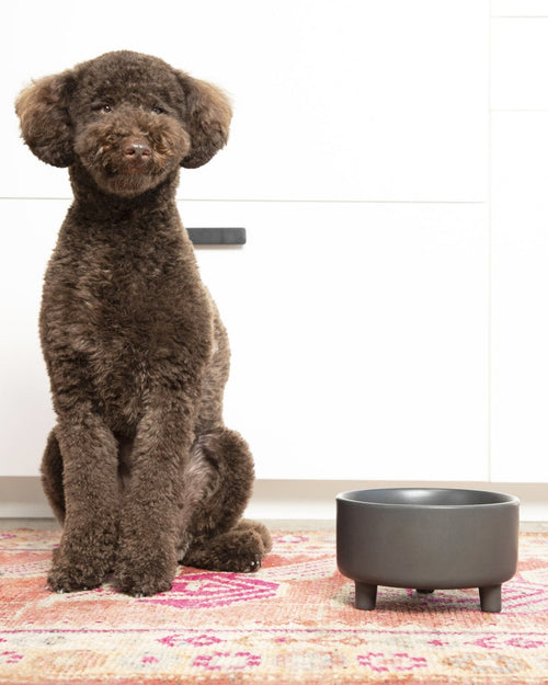 Treat Yourself Vintage Grey Ceramic Dog Bowl