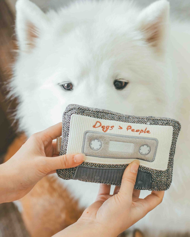 Retro Cassette Tape Dog Toy - A throwback toy with squeaker for fun and playtime!