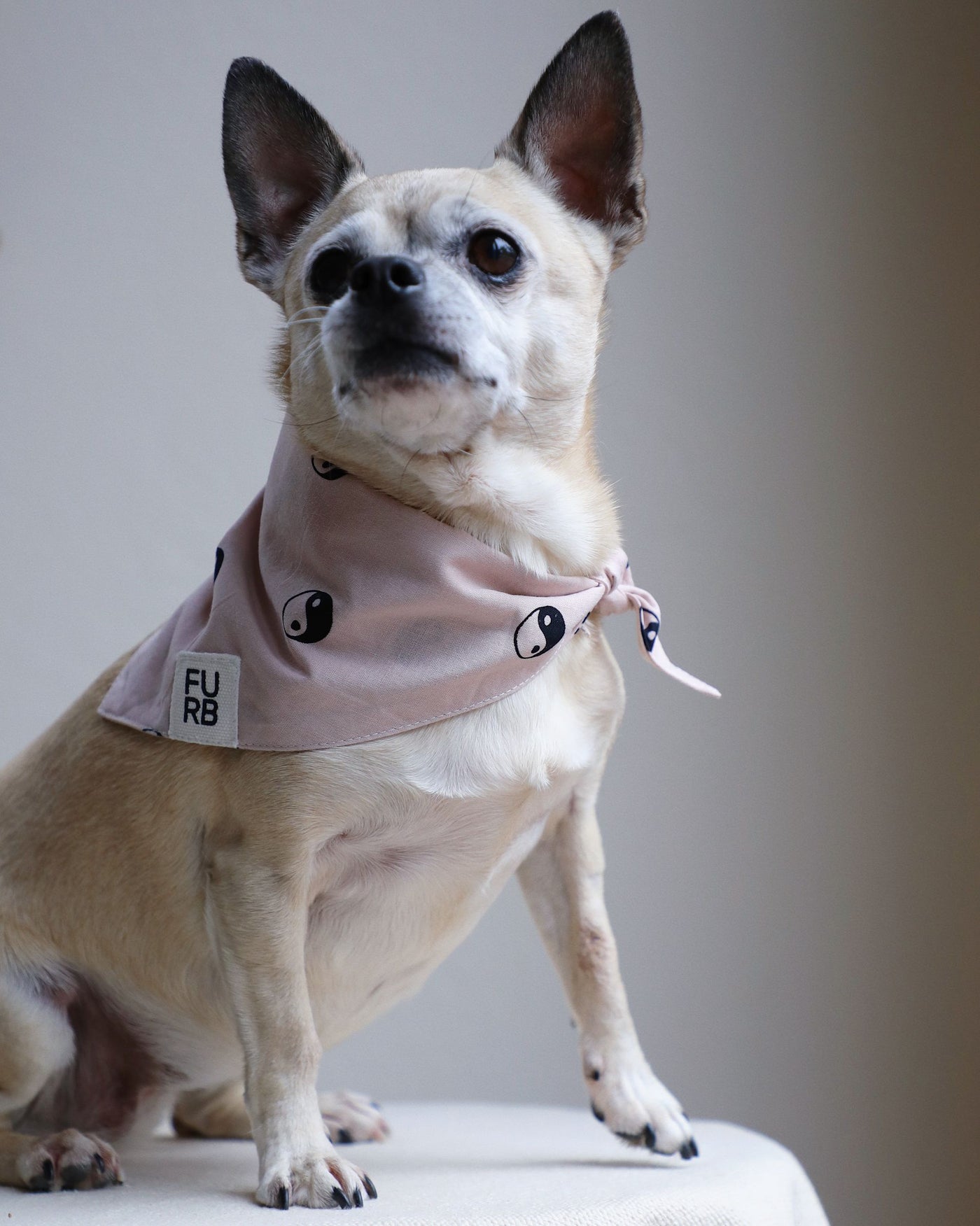 Total Zen Pink Yin Yang Dog Bandana