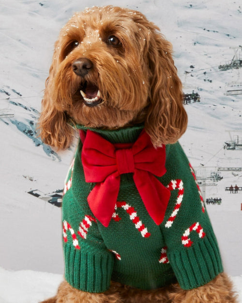 Candy Cutie Green Knit Dog Sweater