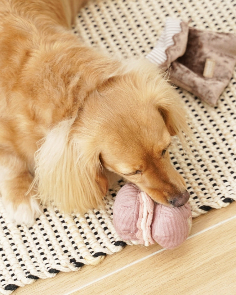 Petit Paws Pastry Duo Dog Toy