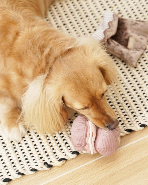 Petit Paws Pastry Duo Dog Toy