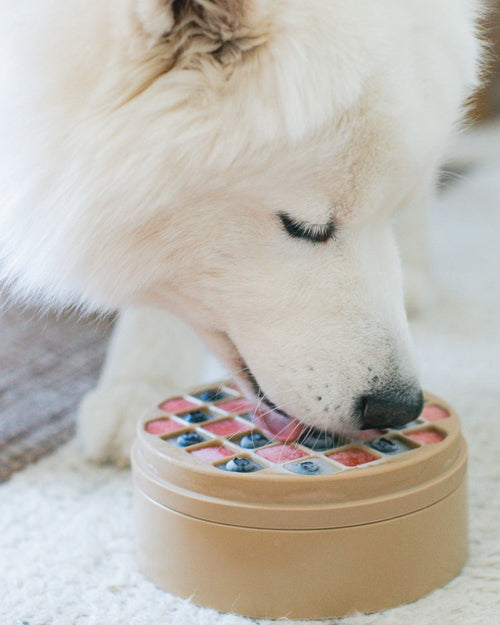 silicone dog feeding bowl with enrichment features, durable slow feeder for pets