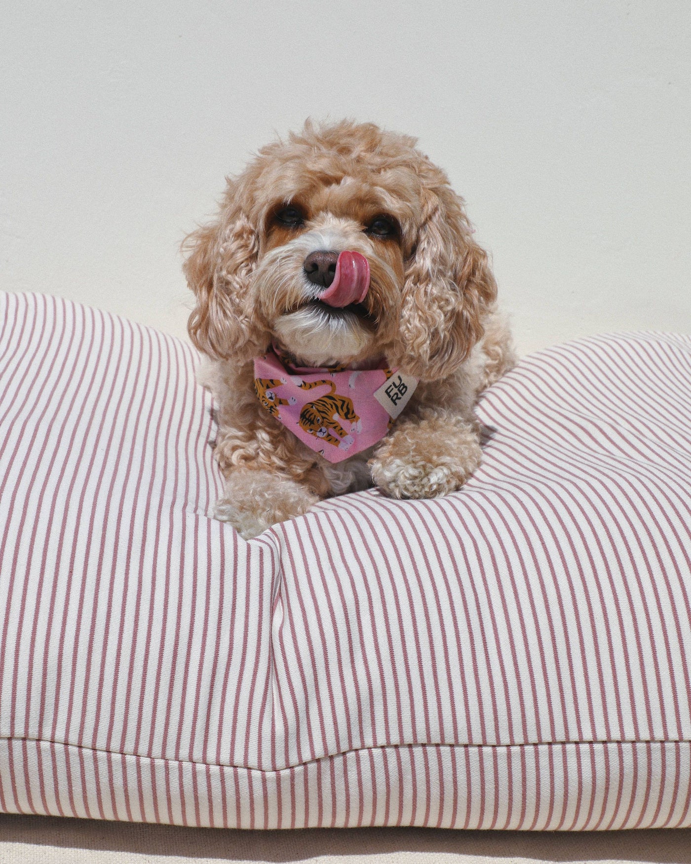 Hello Sailor Dark Rose Striped Dog Bed