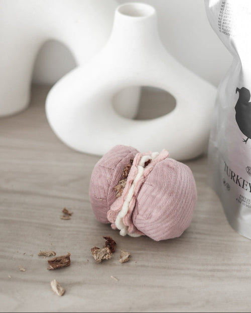 Petit Paws Pastry Duo Dog Toy