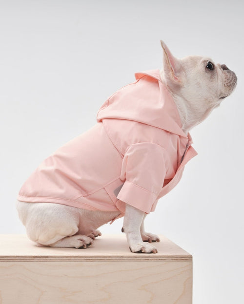 Bright pink waterproof dog rain jacket with hood, perfect for rainy walks.