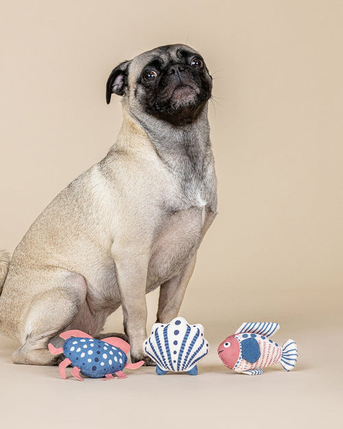 High Tides, Good Vibes Mini Dog Toy Set