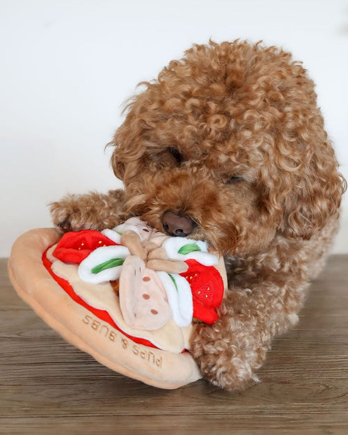 Pizza My Heart Snuffle Mat Dog Toy