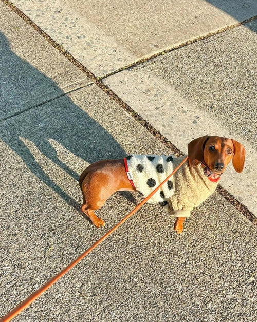 black and white polka dot and tan with coral half button sherpa and fleece dog pullover. dog fleece sweaters for pugs 