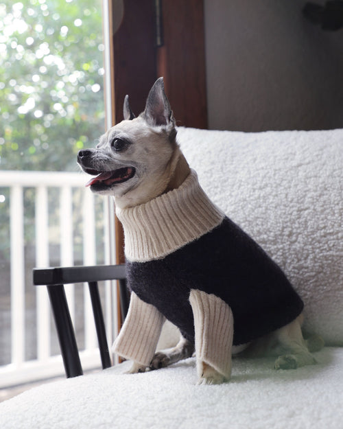Felix Black + Ivory Dog Sweater, featuring a heathered black knit body and ribbed ivory turtleneck.