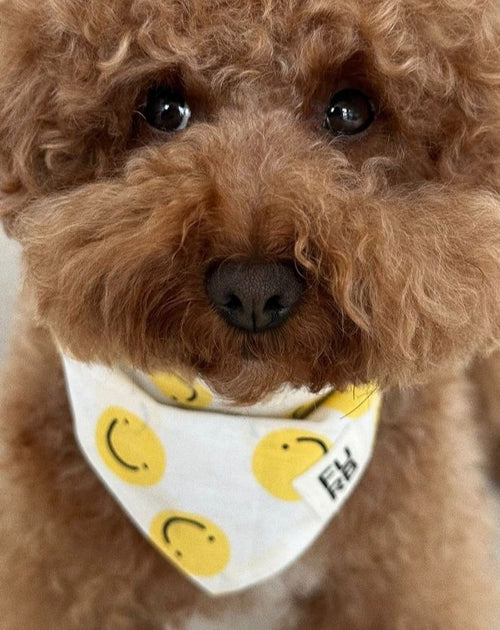 smiley face dog bandana