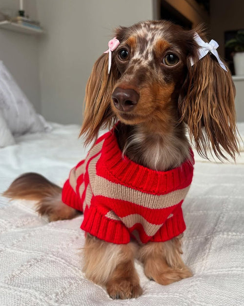 Candy Crush Red Striped Sweater Vest