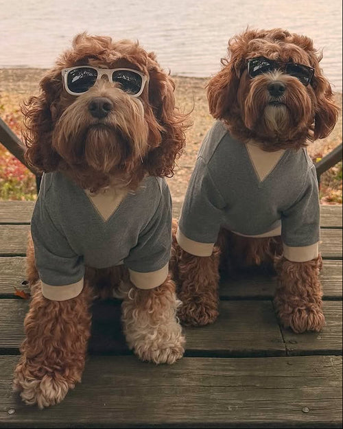 Carter Charcoal Dog Sweatshirt