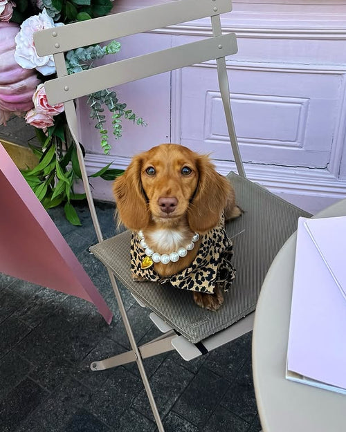 Polished Pup Pearl Dog Necklace