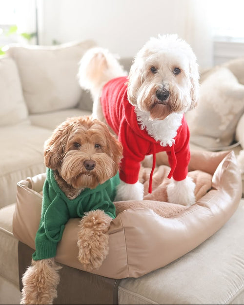 Venice Varsity Red Dog Hoodie