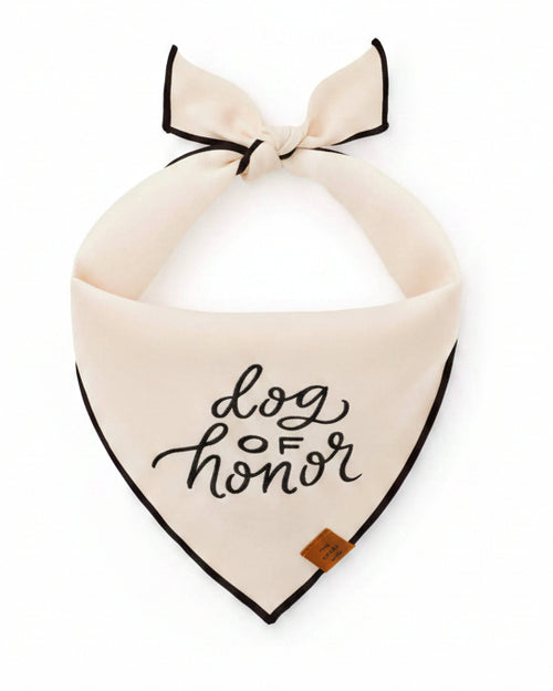  Elegant pet bandana designed for wedding celebrations and ceremonial roles . Updated June 2026.