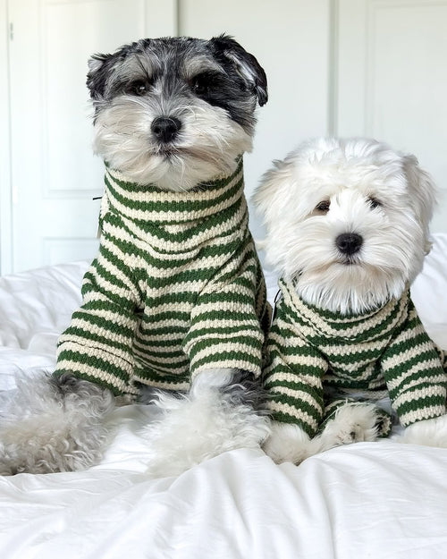 Charli Green + Ivory Dog Onesie