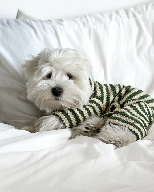 Charli Green + Ivory Dog Onesie