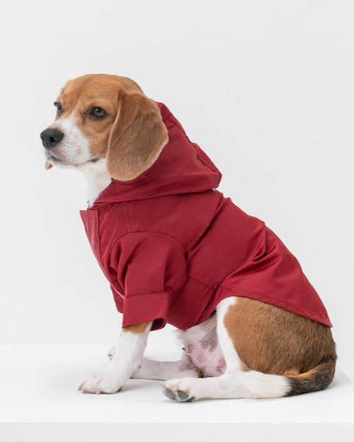 Red waterproof dog rain jacket with hood, stylish and protective for small dogs.