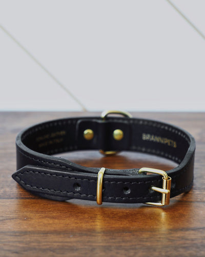 Rocco Leather Collar in Black Product Image