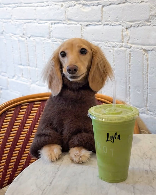 Bobbi Chocolate Eyelash Knit Dog Sweater