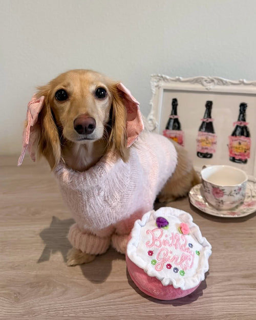 Bobbi Blush Eyelash Knit Dog Sweater