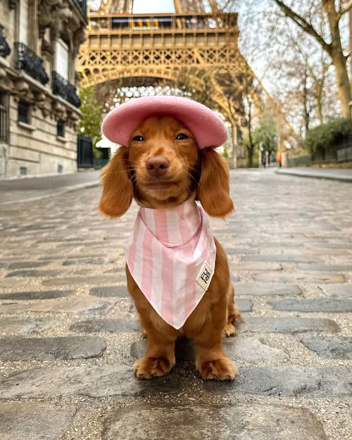 Paige Pink Striped Dog Bandana