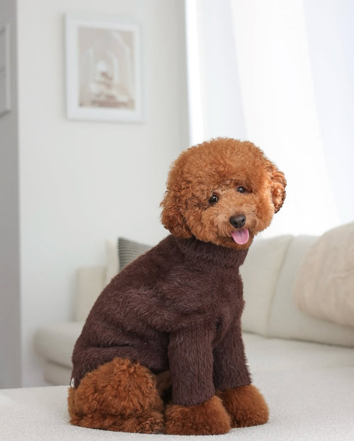 Bobbi Chocolate Eyelash Knit Dog Sweater