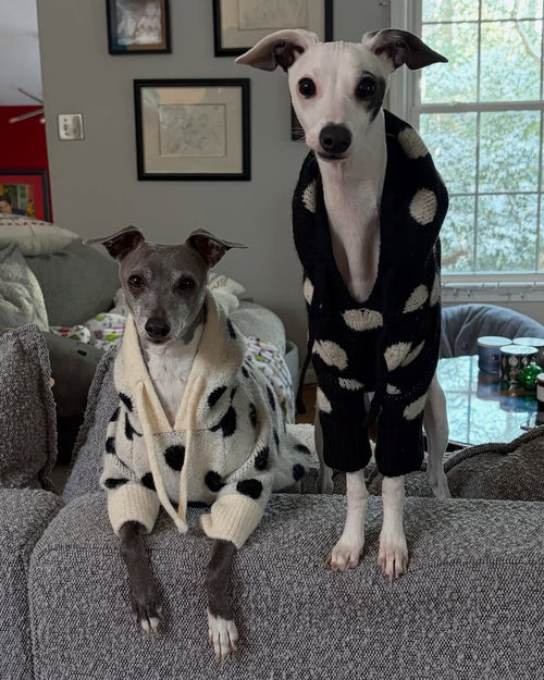 Venice Ivory + Black Polka Dot Dog Hoodie