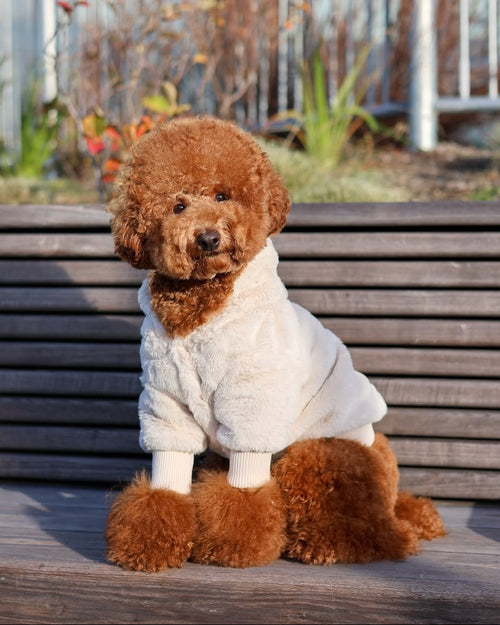 Juneau Ivory Reversible Dog Jacket