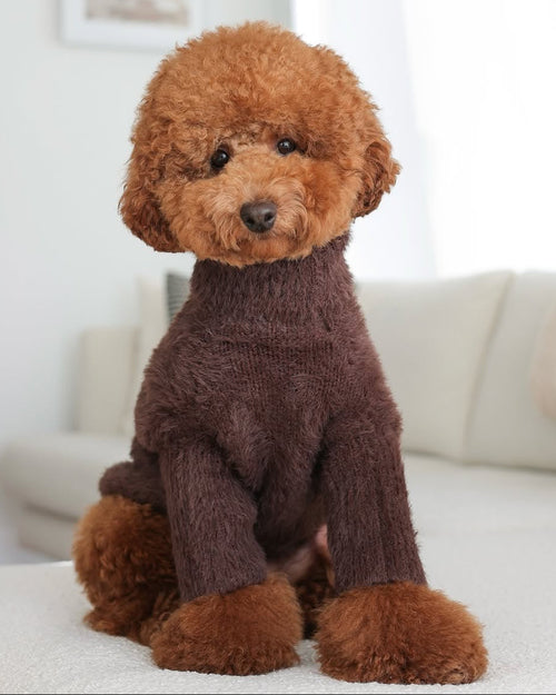 Bobbi Chocolate Eyelash Knit Dog Sweater