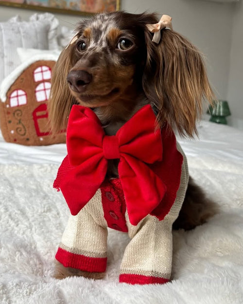 Collar Me Maybe Polo Sweater