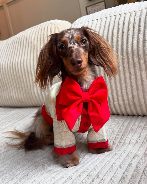 Collar Me Maybe Polo Sweater