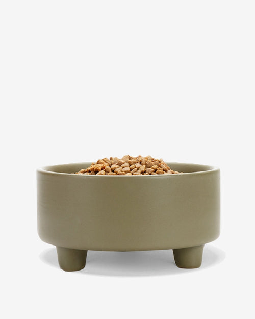 Treat Yourself Olive Ceramic Dog Bowl
