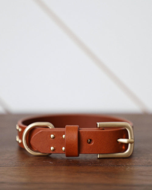 Tan leather dog collar with matching leash, close-up of premium hardware and stitching for comfortable and secure walks