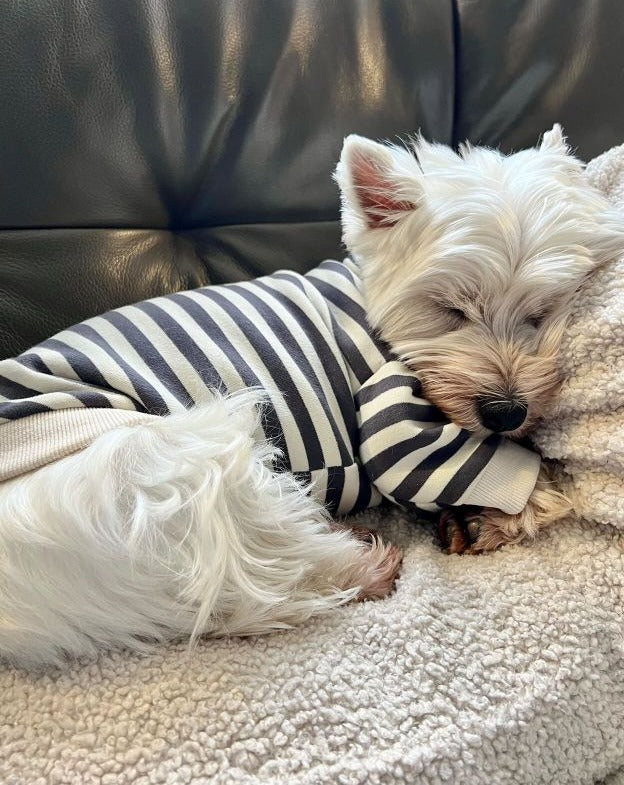 Grey Striped Crewneck Dog Sweatshirt | Trend Influenced – FURB