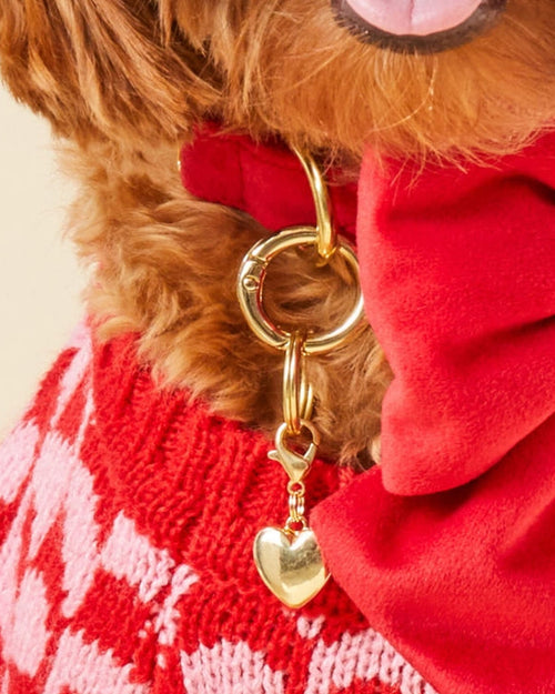 Gold Heart Collar Charm