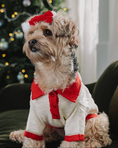 Collar Me Maybe Polo Sweater