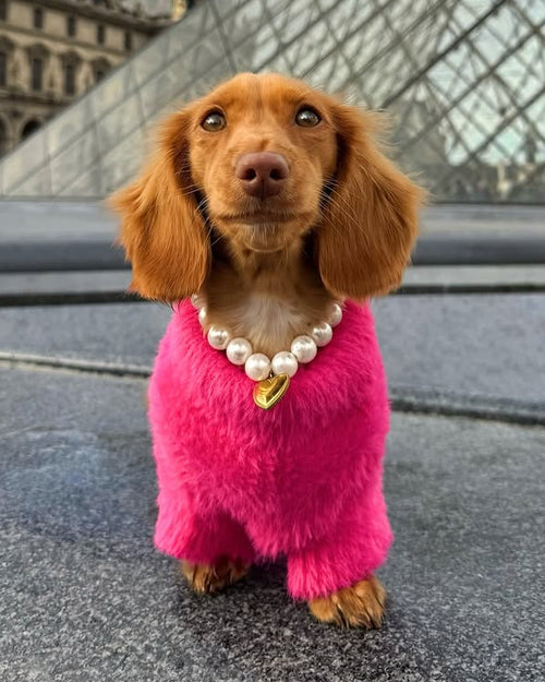 Bobbi Hot Pink Eyelash Knit Dog Sweater