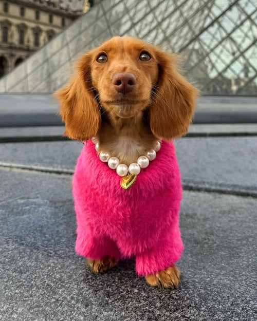 Polished Pup Pearl Dog Necklace