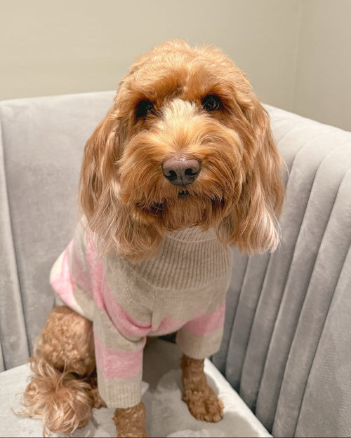Finley Pink Striped Dog Sweater