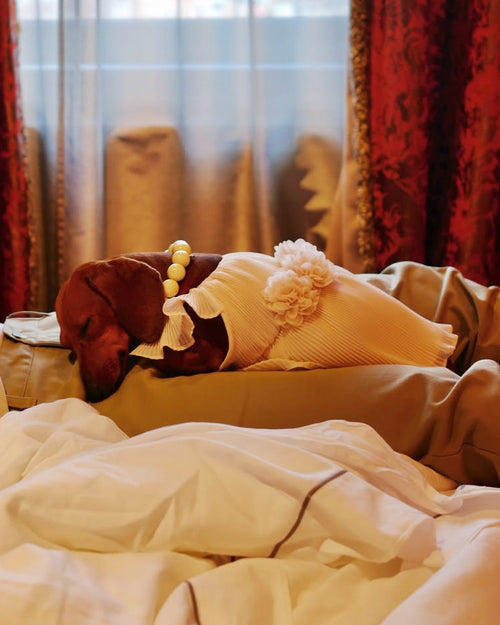 Love Story Petal Pink Pleated Chiffon Dress