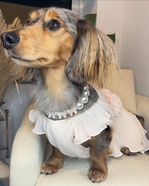 Love Story Petal Pink Pleated Chiffon Dress